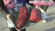 世界唯一の捕鯨母船「関鯨丸」が仙台港に入港　脂がのったナガスクジラの生肉およそ３トンを水揚げ 