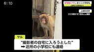 上峰町のサル また現る【佐賀県】