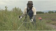 復興へ一歩 被災地の耕作放棄地を整備 長沼地区住民有志の組合 今年度最終活動 来年へ課題も