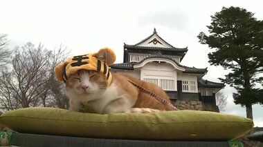 ネコ城主「さんじゅーろー」仕事始め コロナ禍からの回復を祈願 トラに扮して観光客お出迎え【岡山発】