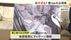 仙台市長の公用車８５１万円は妥当？高すぎる？「市民の理解は得られ…