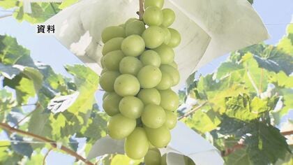 ふるさと納税返礼品の産地偽装問題　須坂市が設置した第三者委員会の初会合　今後、市長や関係職員の聞き取り　報告書は8月末までに提出される予定