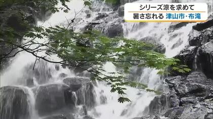 【涼を求めて】２）岩肌を清らかな水が布を広げるように流れ落ちる津山市の布滝で自然を丸ごと体験【岡山】