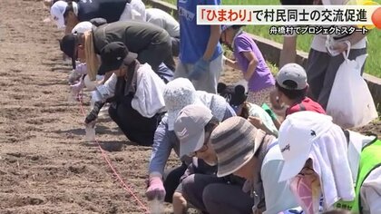 日本一小さな村が“ヒマワリ”で課題解決　新旧村民のつながり深める『サンフラワープロジェクト』がスタート！【富山発】