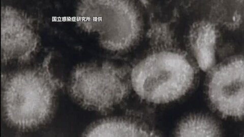 愛媛でインフルエンザ感染急増　西条保健所エリアは新型コロナも“注意報レベル”県が予防呼びかけ【愛媛】