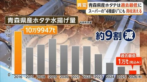 「大トロより高い」ホタテ高騰で刺身盛りから消える　青森県産の水揚げ量“過去最低”見込み　海水温上昇で不漁続き食卓にも影響