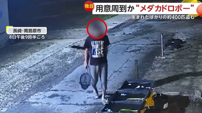 大きな柄があるTシャツにサンダル履きで現れた男(提供:あおぞらメダカ)