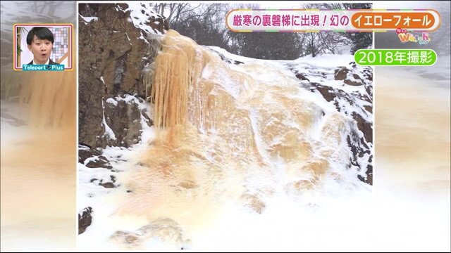 2018年に撮影された「イエローフォール」