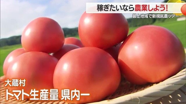 大蔵村はトマトの生産量・山形県内1