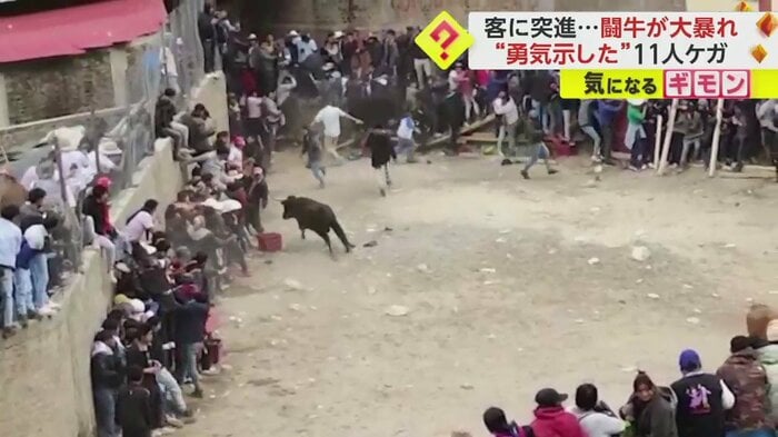 壁際に追い詰めた人たちを攻撃する牛