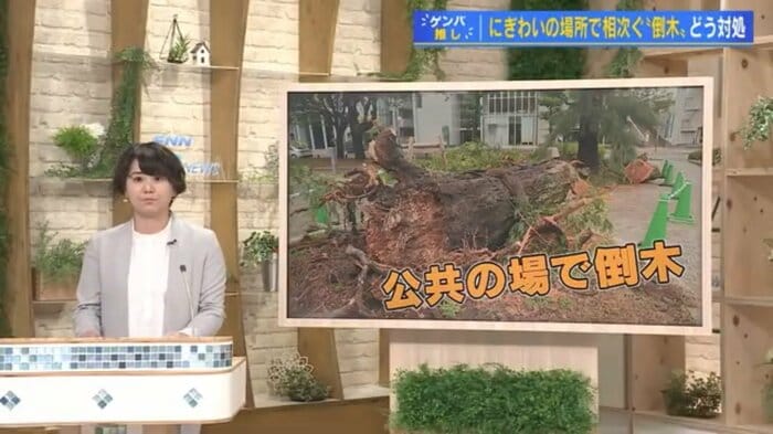 久保田千晶記者
