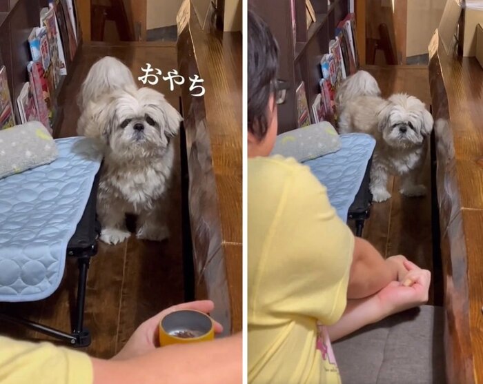 おやつは食べたいけれどやっぱり通れない…!