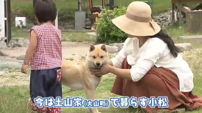 新しい兄弟も