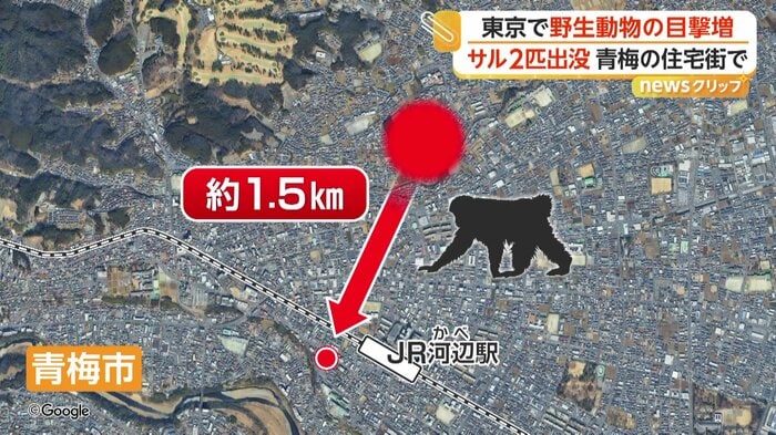 JR河辺駅方面に移動したとみられるサル（©Google）