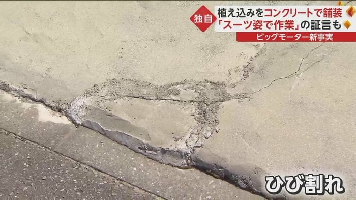ところどころ、ひび割れも