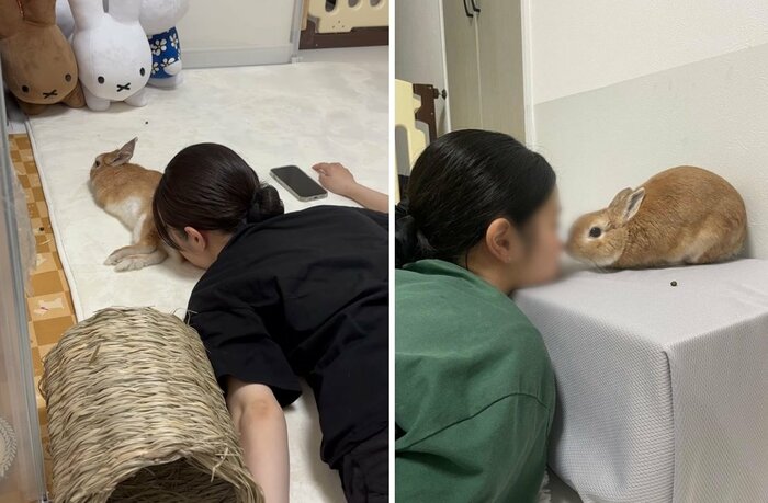 うさぎの「ふう」くんと戯れる娘さん