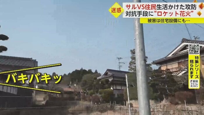 大きな物音を立ててサルが走って行く
