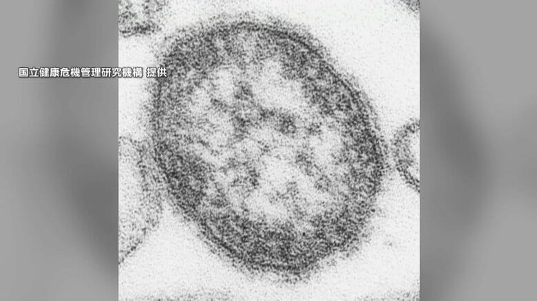 感染力強い「はしか」に集団感染…新宿区の飲食店で20代男性従業員9人　国内患者100人、前年同期比4倍以上に｜FNNプライムオンライン