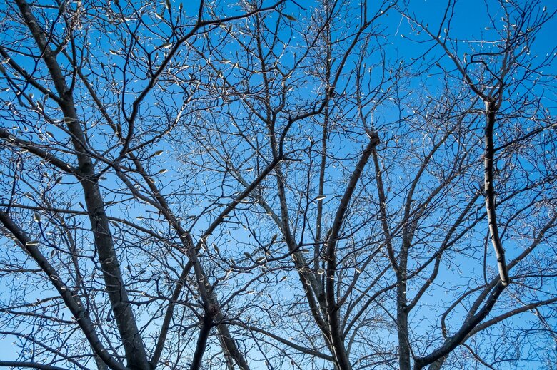 冬の天気予報は当たりやすいのに…気象予報士が頭を抱える“意外な悩み”|FNNプライムオンライン