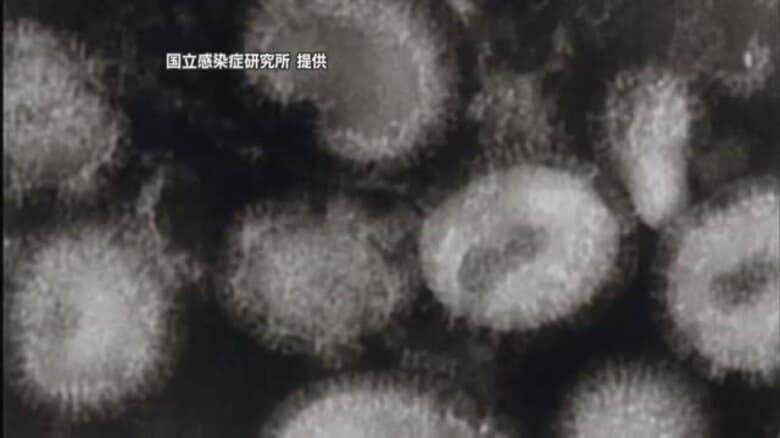 愛媛でインフルエンザ感染急増 西条保健所エリアは新型コロナも“注意報レベル”県が予防呼びかけ【愛媛】|FNNプライムオンライン