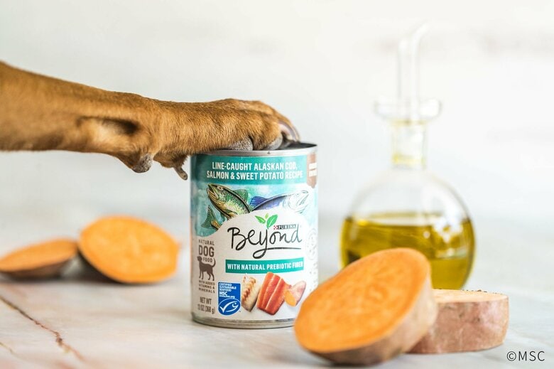 環境負荷軽減のため世界で選ばれているMSCラベル付きペットフード