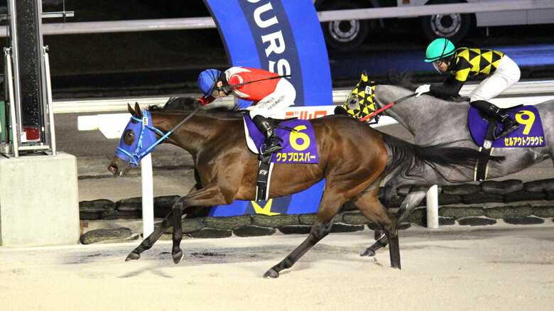 【ホッカイドウ競馬】「厩舎の皆さんが究極の仕上げで仕上げてくださった」7番人気クラプロスパーがエーデルワイス賞制覇｜FNNプライムオンライン