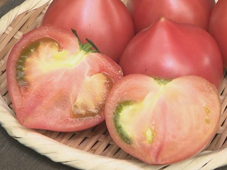 栽培農家少なく…幻のトマト「ルネッサンス」出荷始まる 断面がハート型で酸味と甘み凝縮 愛知・設楽町｜FNNプライムオンライン