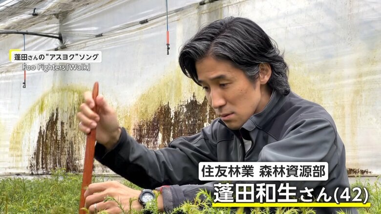 “大切さ知ってもらいたい”日本の森を若返らせるコンテナ苗木の育成　温度管理徹底などで約3年の生育期間が1年に短縮【アスヨク！】｜FNNプライムオンライン