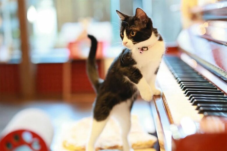 お客さんのおひざが大好き バイトリーダーのあまなつちゃん