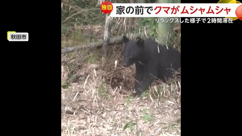 立ち去ることなく、約2時間以上もその場に留まっていたというクマ