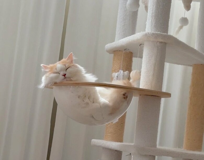 いろいろな所で“液体”になっているという