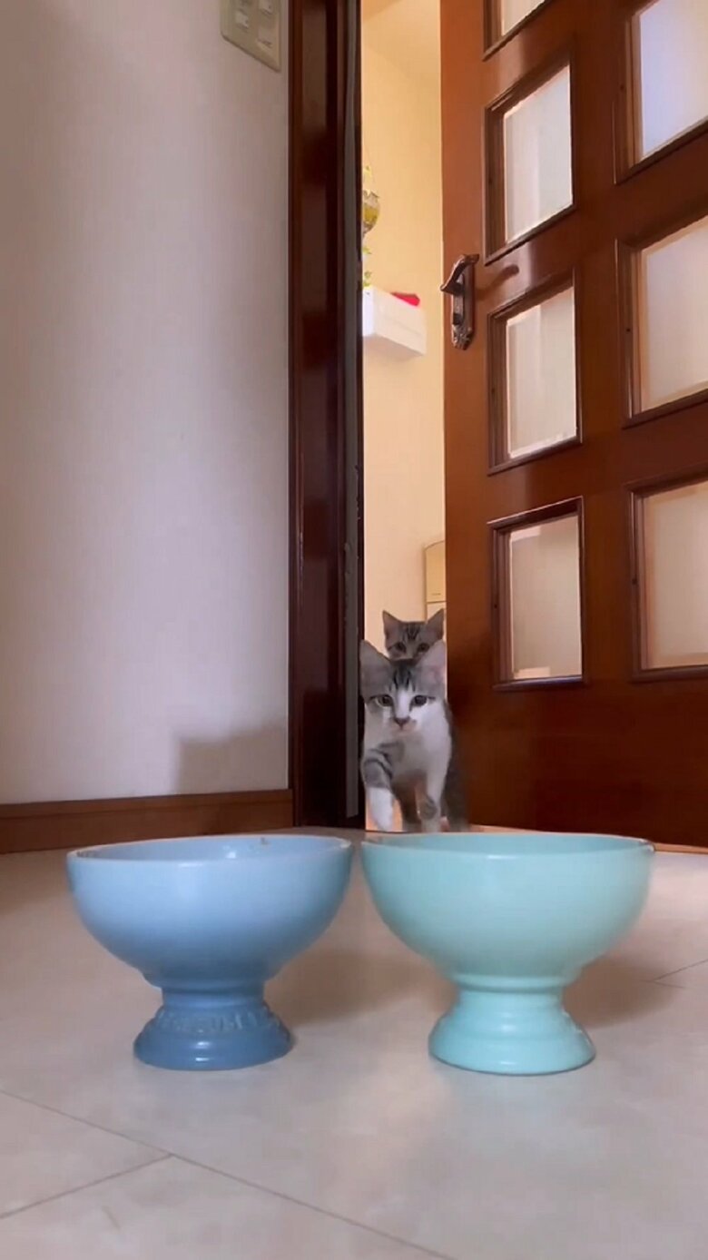 最初に駆け込んできたのは詩葉くん