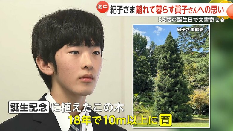 悠仁さまのお印「高野槙」。悠仁さま誕生の記念に植えられ、18年で10m以上の高さに育ったことを紹介された。
