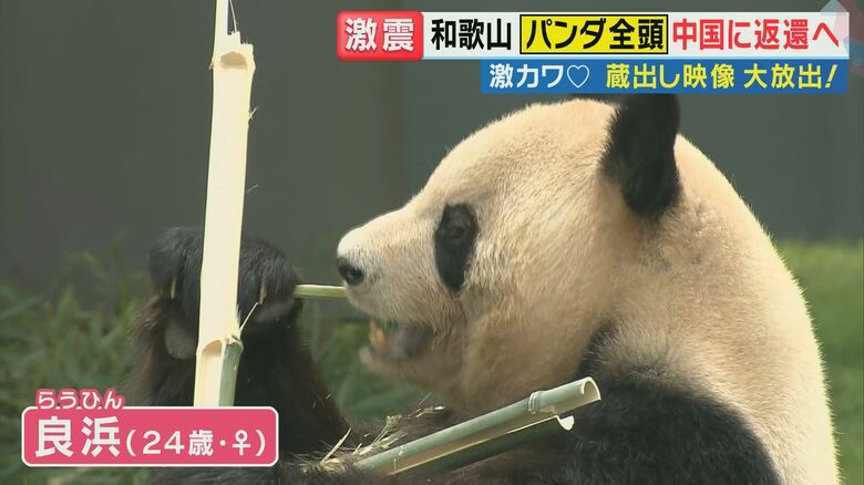 白浜町では『今後どうしてくれるんだ』という声も