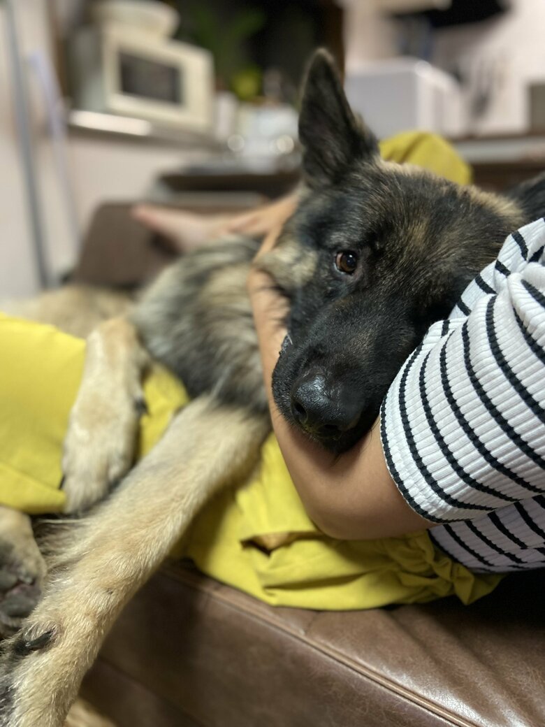 抱っこされてくつろぎのひと時