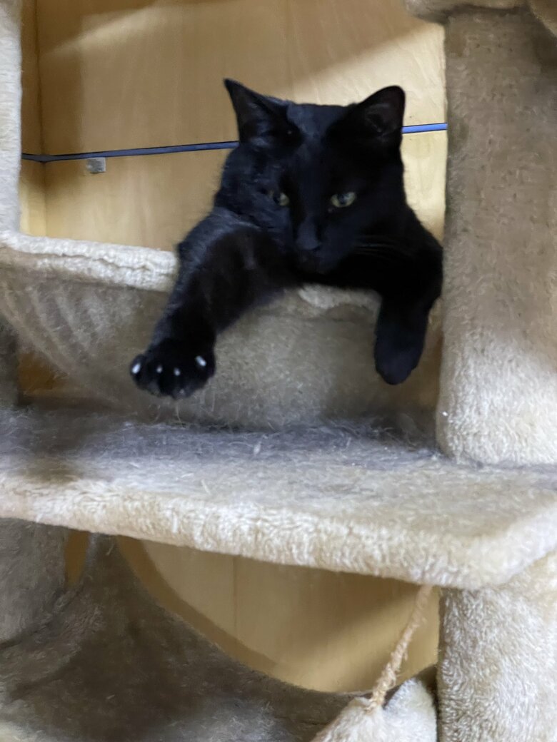 提供：マクーさん