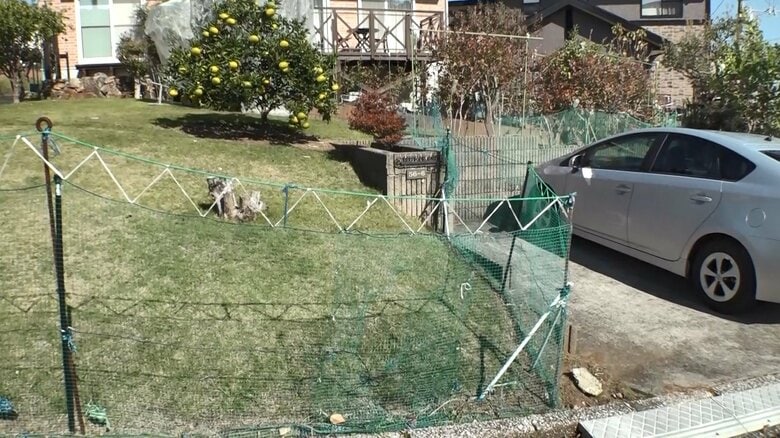 多くの家が柵や網で囲いを作っている（千葉・勝浦市）