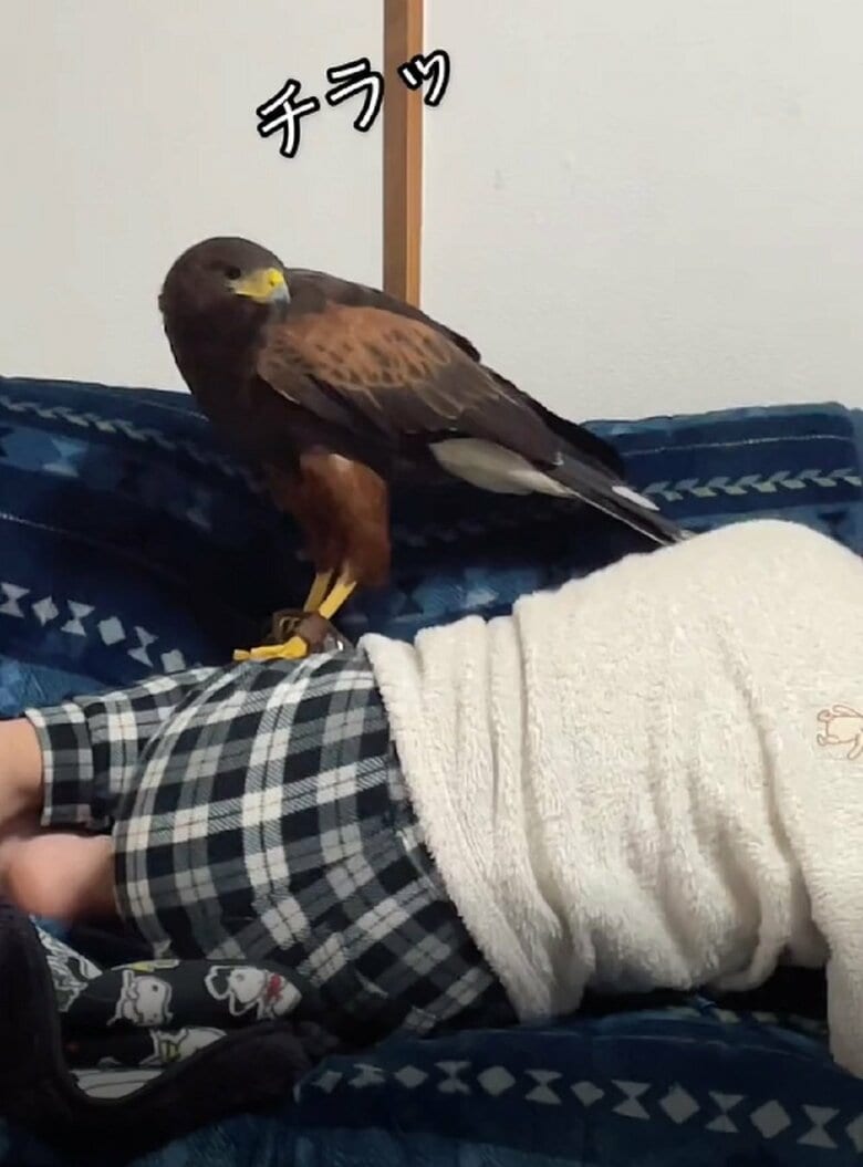 長女さんをチラッと確認する