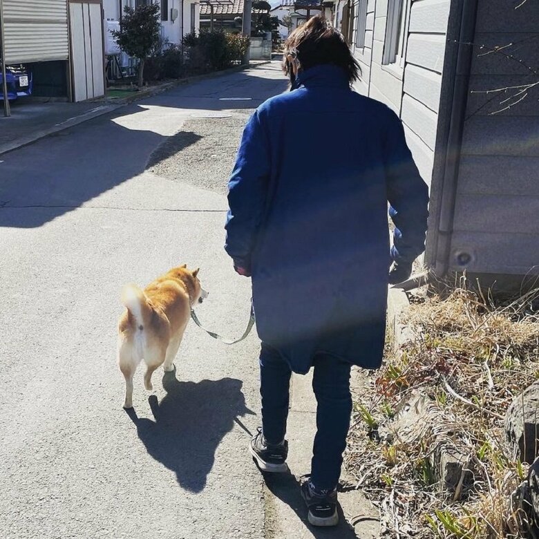 高齢の母に合わせてゆっくり歩く柴犬