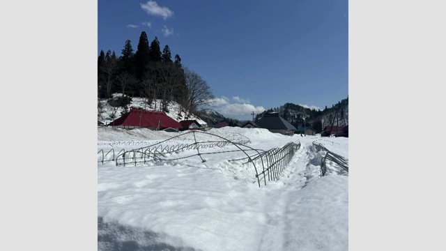 2025年2月の大雪被害（視聴者撮影）