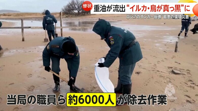 油の除去作業をする当局の職員たち