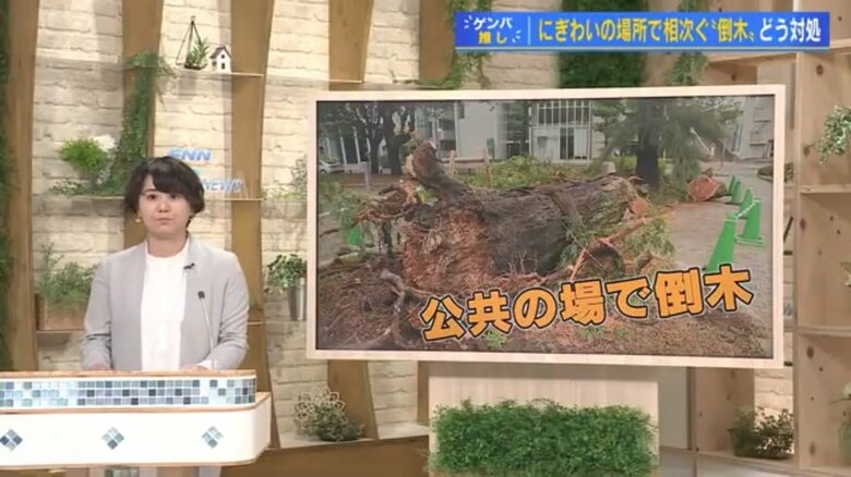久保田千晶記者
