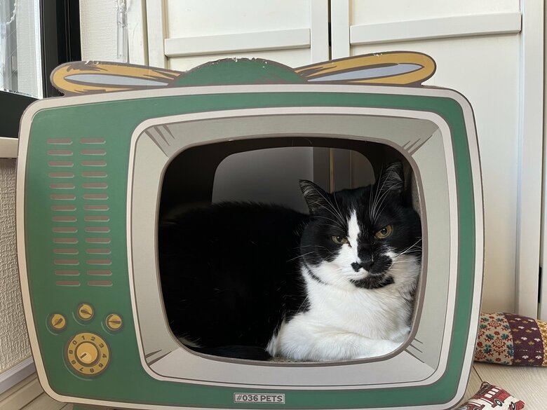 提供：卵山玉子先生