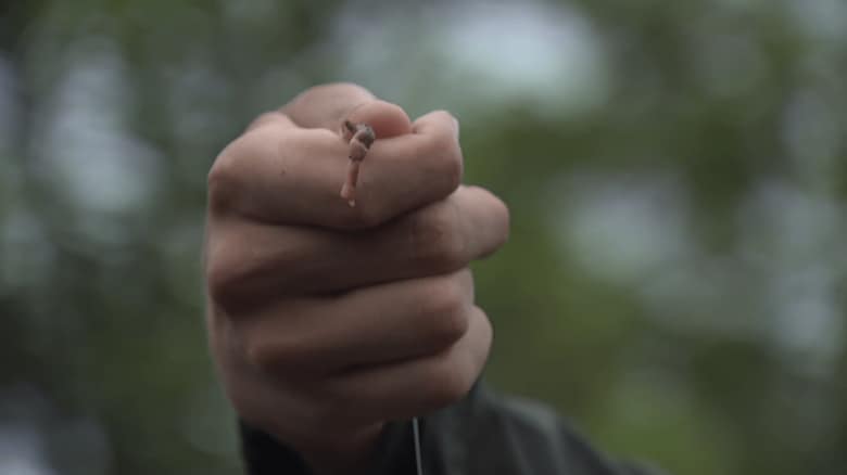 エサのミミズが食べられていた