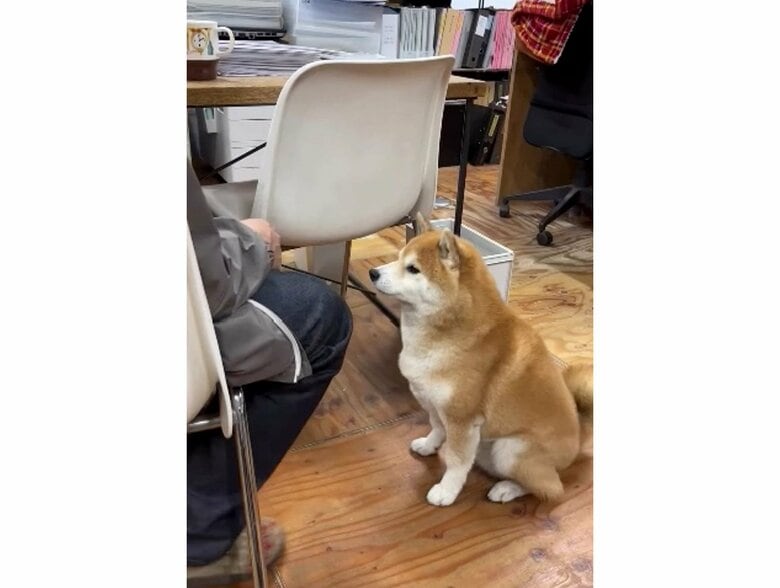 提供：エイトデザイン