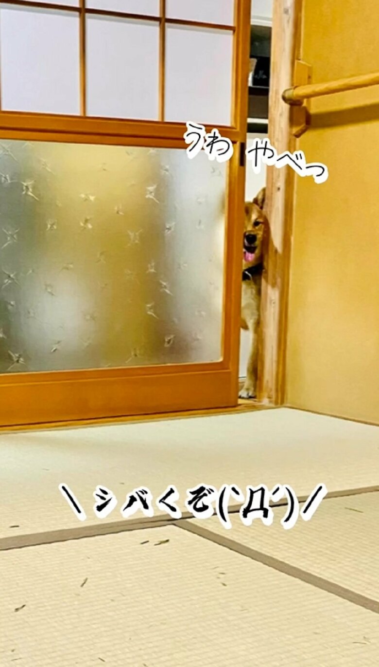 笑顔で部屋をのぞくゆうまくん