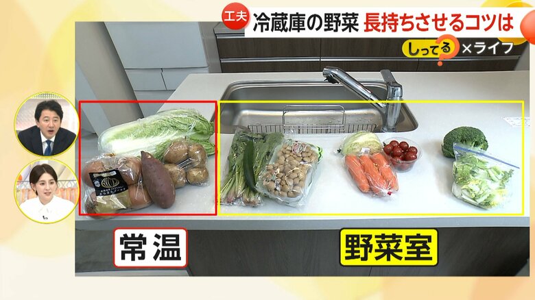 常温が適している野菜と野菜室での保存が適している野菜