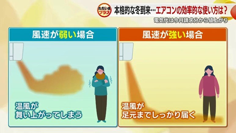 風速の違いによる比較