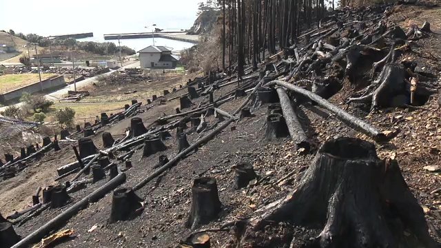 ほぼ火が消し止められた「鎮圧」状態