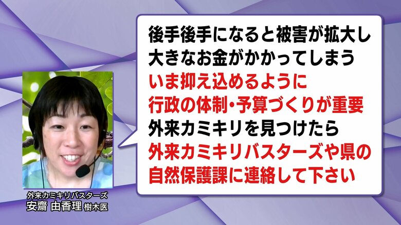 「外来カミキリバスターズ」と検索すると問い合わせフォームへ